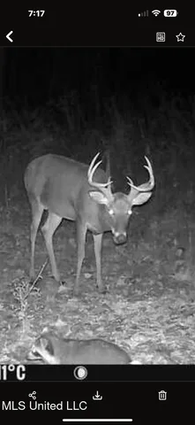 $124,400 | 1851 Swamp Road, Carthage, MS 39051