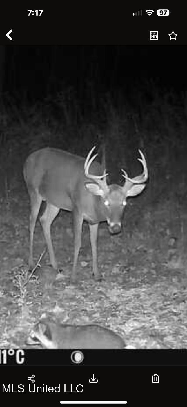 1851 Swamp Road Carthage, MS 39051 - Photo 30 of 31 IMG_6639