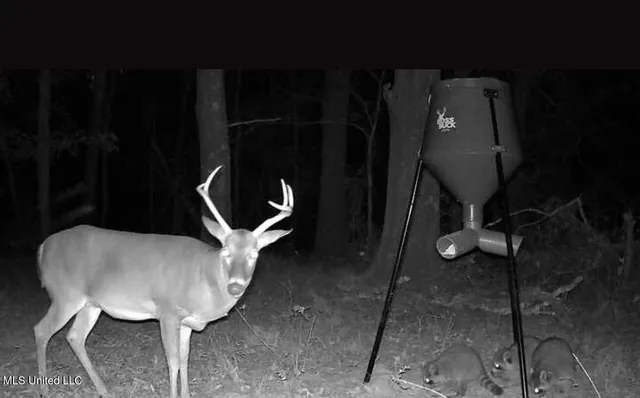 $124,400 | 1851 Swamp Road, Carthage, MS 39051