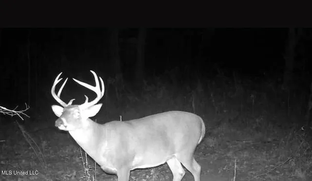 $124,400 | 1851 Swamp Road, Carthage, MS 39051