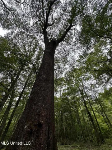 $124,400 | 1851 Swamp Road, Carthage, MS 39051