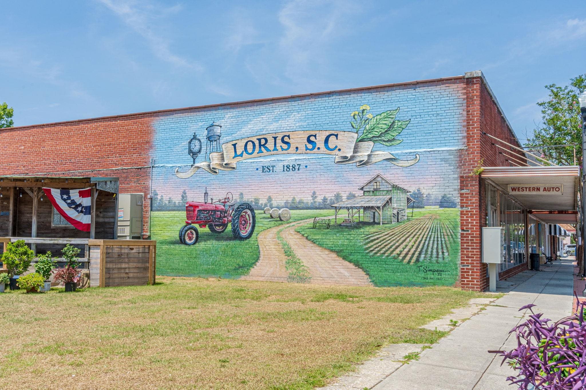 687 Tiger Paw Road Loris, SC 29569 - Photo 56 of 57