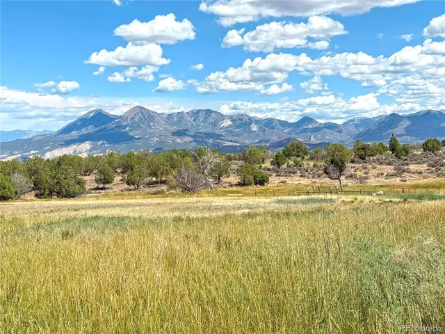 a view of a yard with an trees