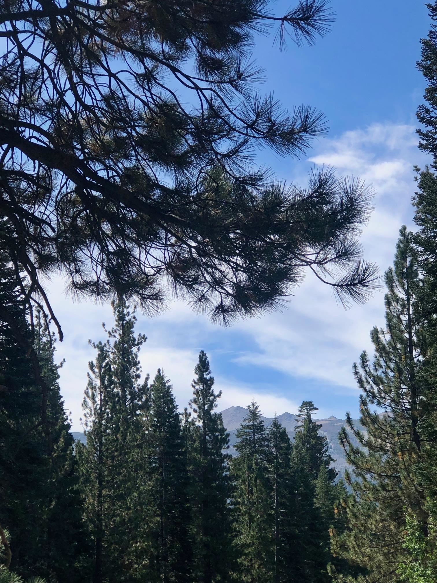 198 Grindelwald Road Mammoth Lakes, CA 93546 - Photo 12 of 12 Gallery Image 12