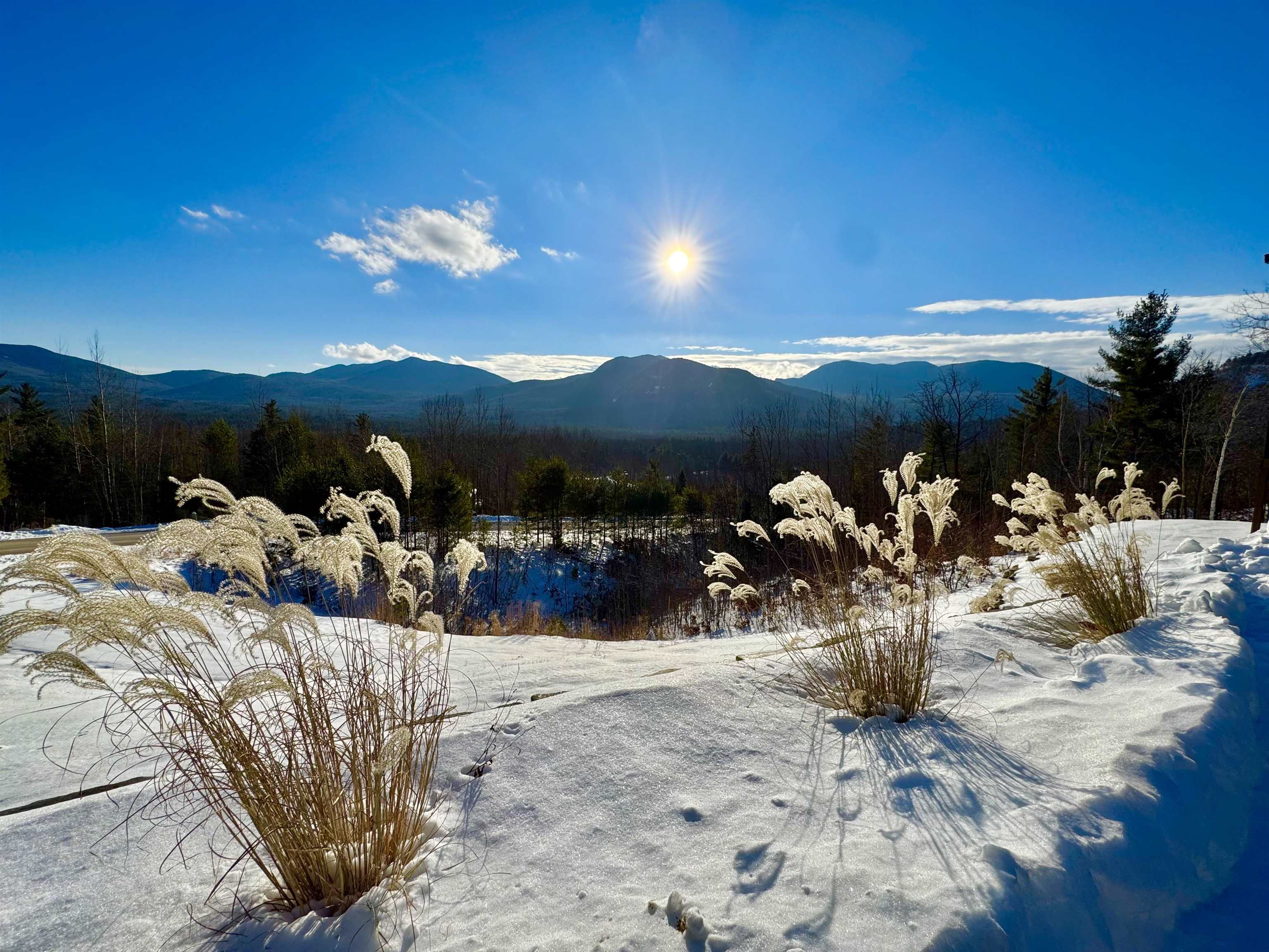 83 Parker Ridge Road Bartlett, NH 03812 - Photo 3 of 59
