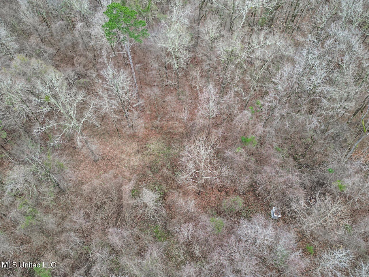 5 Spokane Road Natchez, MS 39120 - Photo 40 of 58 DJI_0174 Large