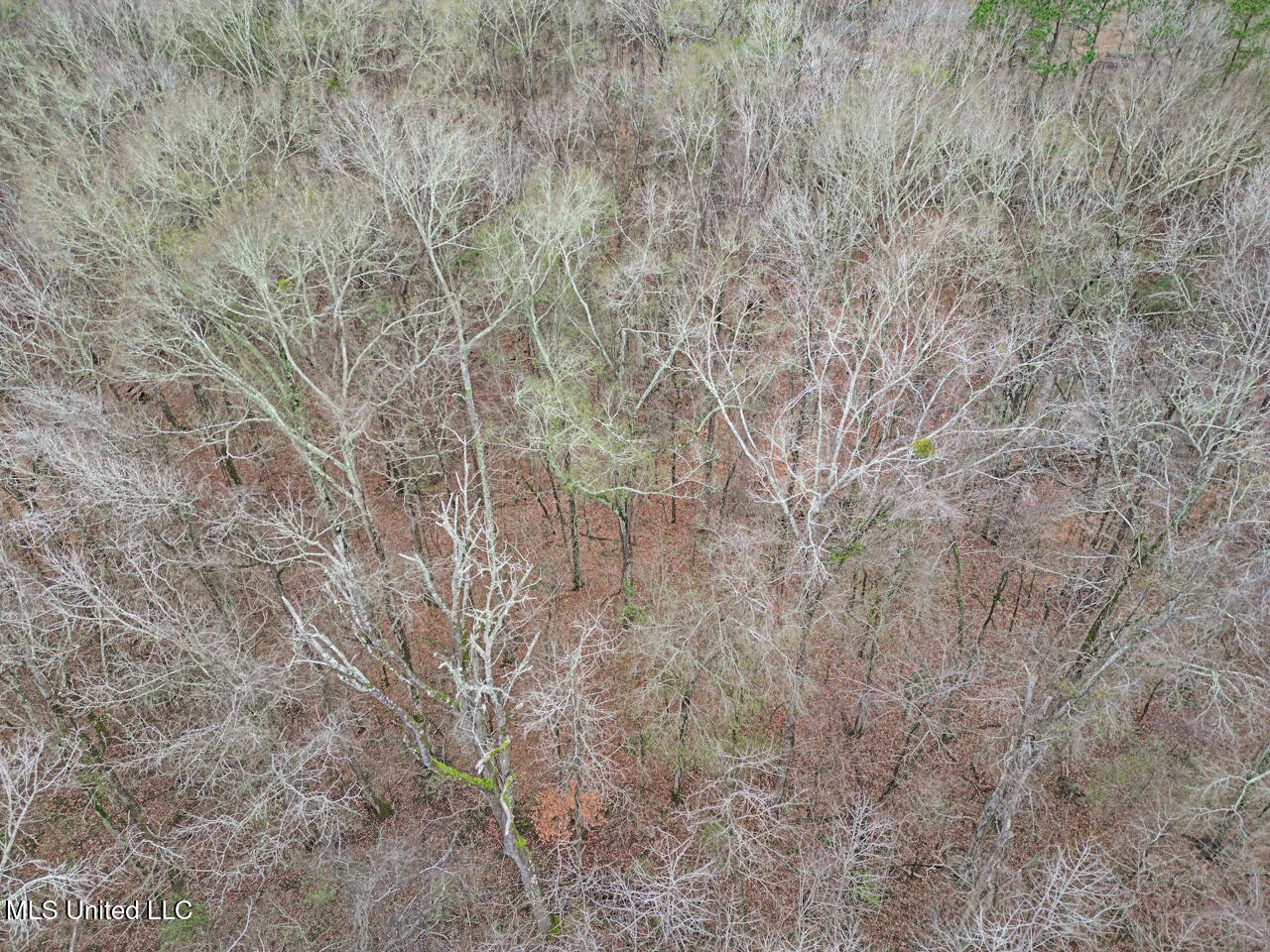 5 Spokane Road Natchez, MS 39120 - Photo 41 of 58 DJI_0175 Large