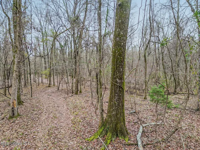 $699,000 | 5 Spokane Road, Natchez, MS 39120