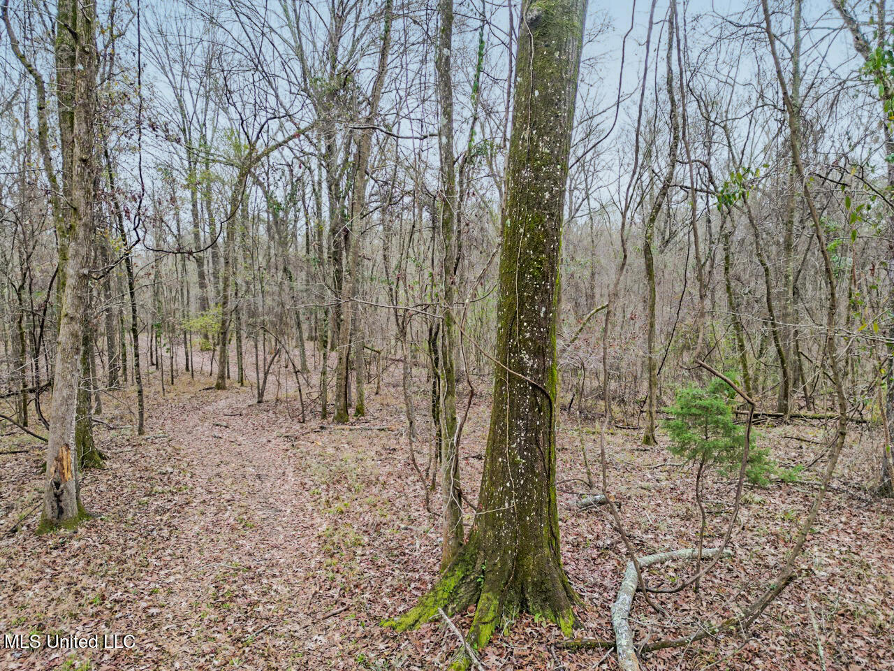 5 Spokane Road Natchez, MS 39120 - Photo 44 of 58 DJI_0178 Large