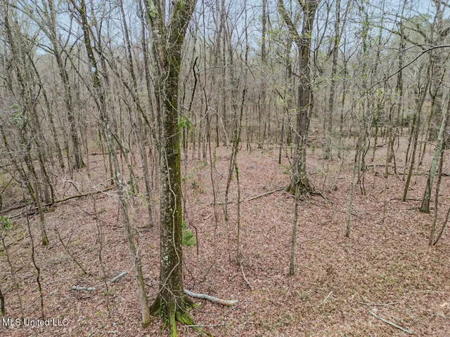 $699,000 | 5 Spokane Road, Natchez, MS 39120