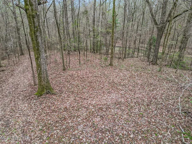 $699,000 | 5 Spokane Road, Natchez, MS 39120