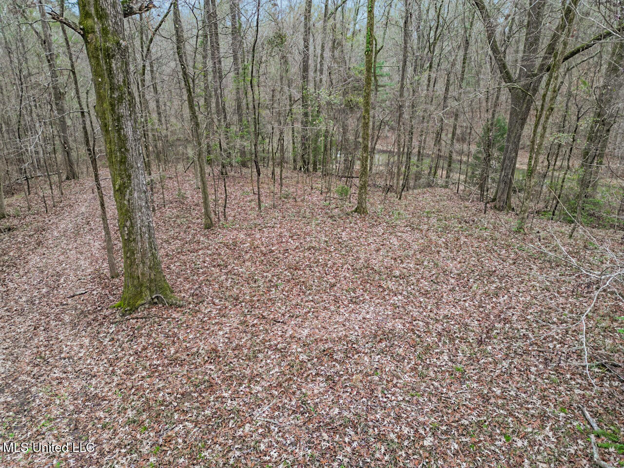 5 Spokane Road Natchez, MS 39120 - Photo 46 of 58 DJI_0180 Large