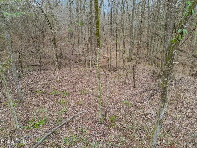 $699,000 | 5 Spokane Road, Natchez, MS 39120