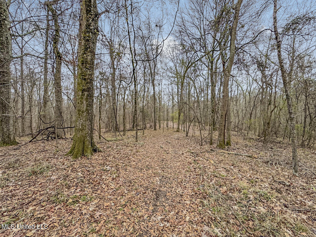 5 Spokane Road Natchez, MS 39120 - Photo 50 of 58 IMG_1543 Large