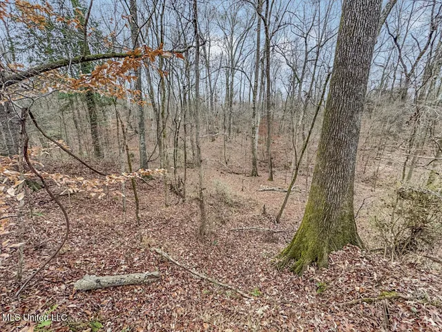 $699,000 | 5 Spokane Road, Natchez, MS 39120