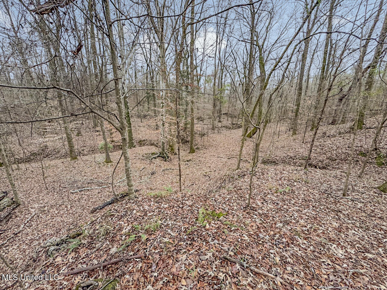 5 Spokane Road Natchez, MS 39120 - Photo 52 of 58 IMG_1545 Large