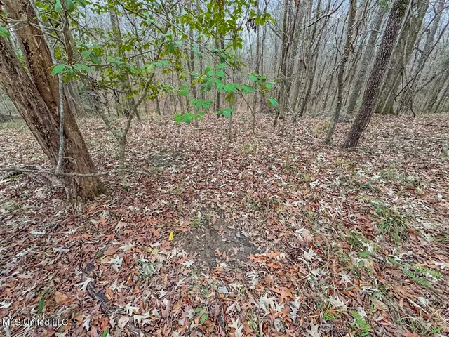 $699,000 | 5 Spokane Road, Natchez, MS 39120