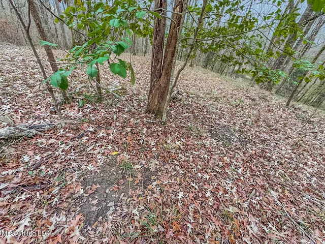 $699,000 | 5 Spokane Road, Natchez, MS 39120