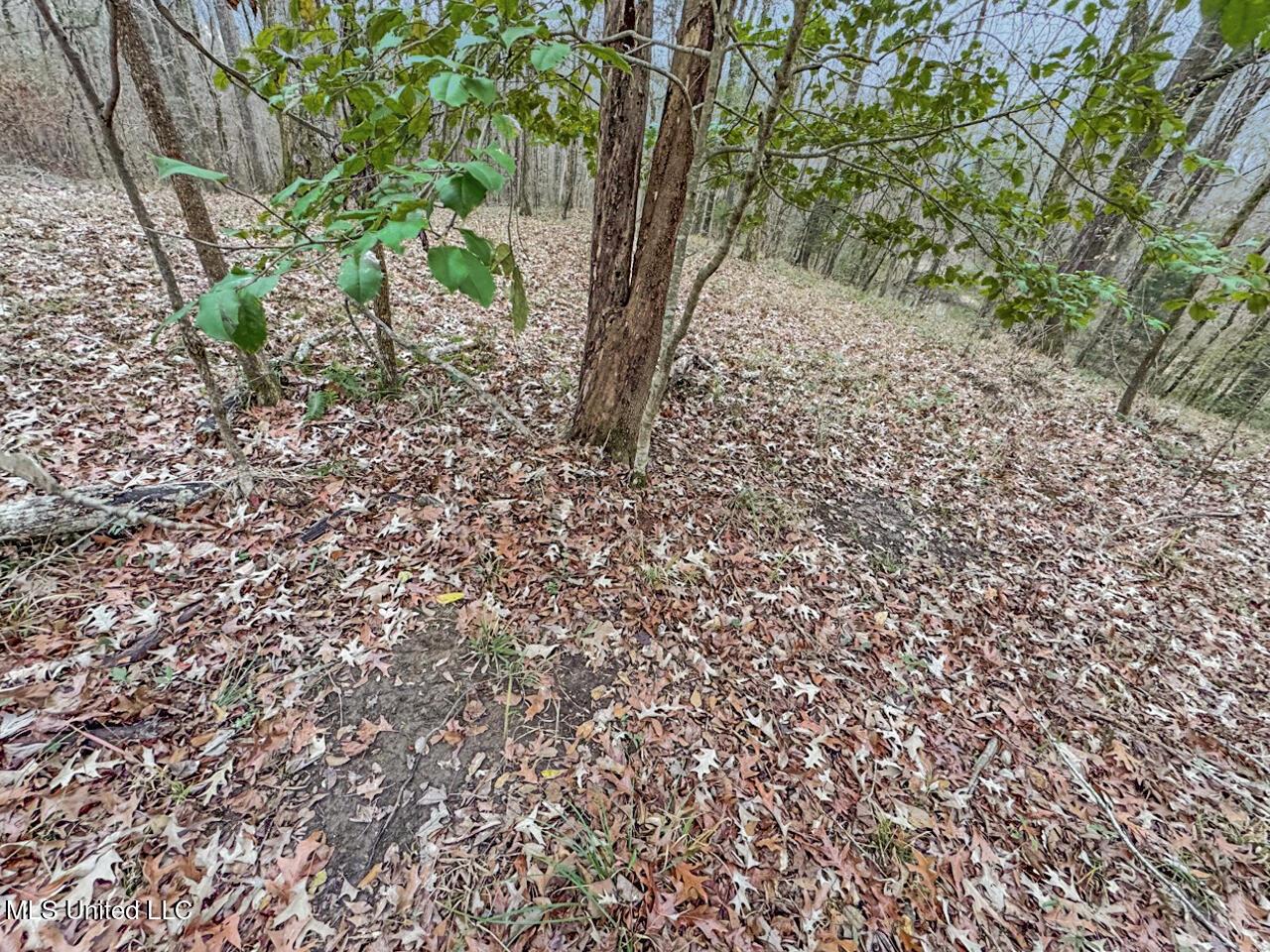 5 Spokane Road Natchez, MS 39120 - Photo 54 of 58 IMG_1547 Large