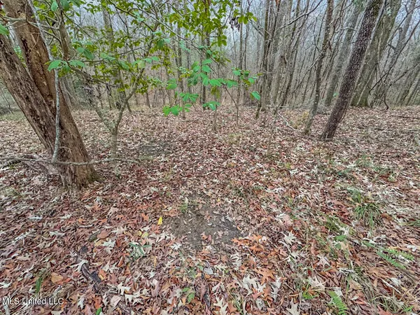 $699,000 | 5 Spokane Road, Natchez, MS 39120