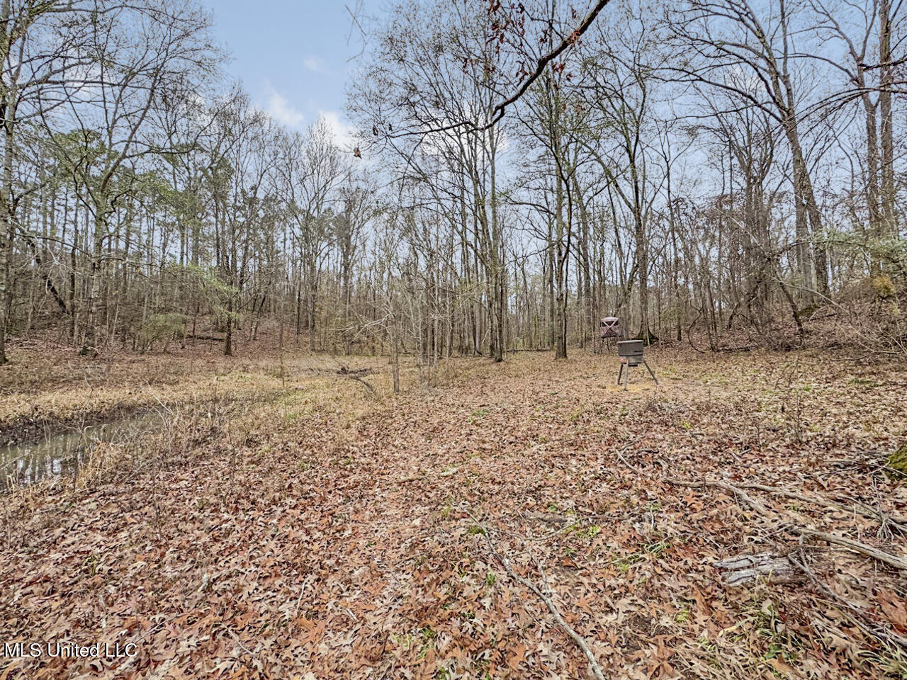 5 Spokane Road Natchez, MS 39120 - Photo 55 of 58 IMG_1548 Large