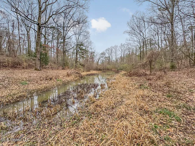 $699,000 | 5 Spokane Road, Natchez, MS 39120