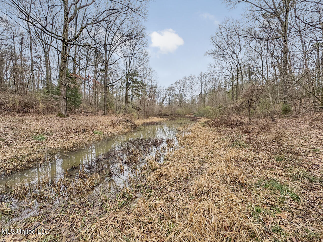 5 Spokane Road Natchez, MS 39120 - Photo 57 of 58 IMG_1550 Large