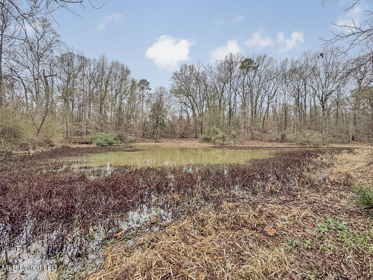 5 Spokane Road Natchez, MS 39120 - Photo 58 of 58 IMG_1551 Large