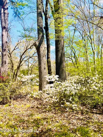 $699,000 | 5 Spokane Road, Natchez, MS 39120