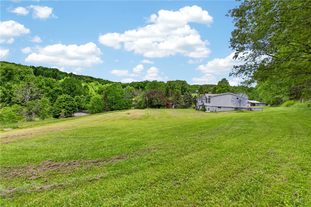 500 Munn Road Walton, NY 13856 - Photo 5 of 41