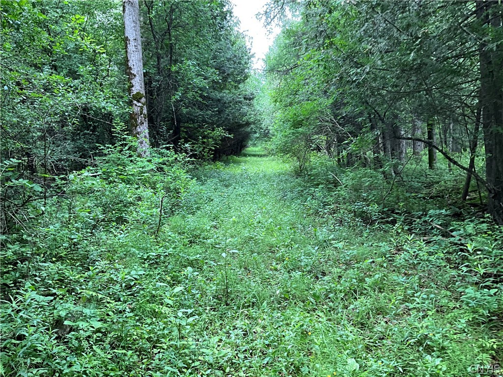 0 County Rte 35 Canton, NY 13617 - Photo 17 of 33