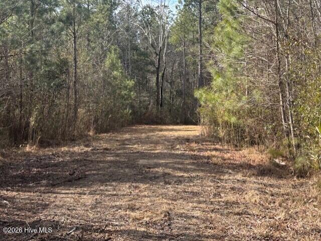 10-acres Scott Road Pollocksville, NC 28573 - Photo 22 of 22 f9306dc8-2a0a-4799-98af-b65f5526a9ef