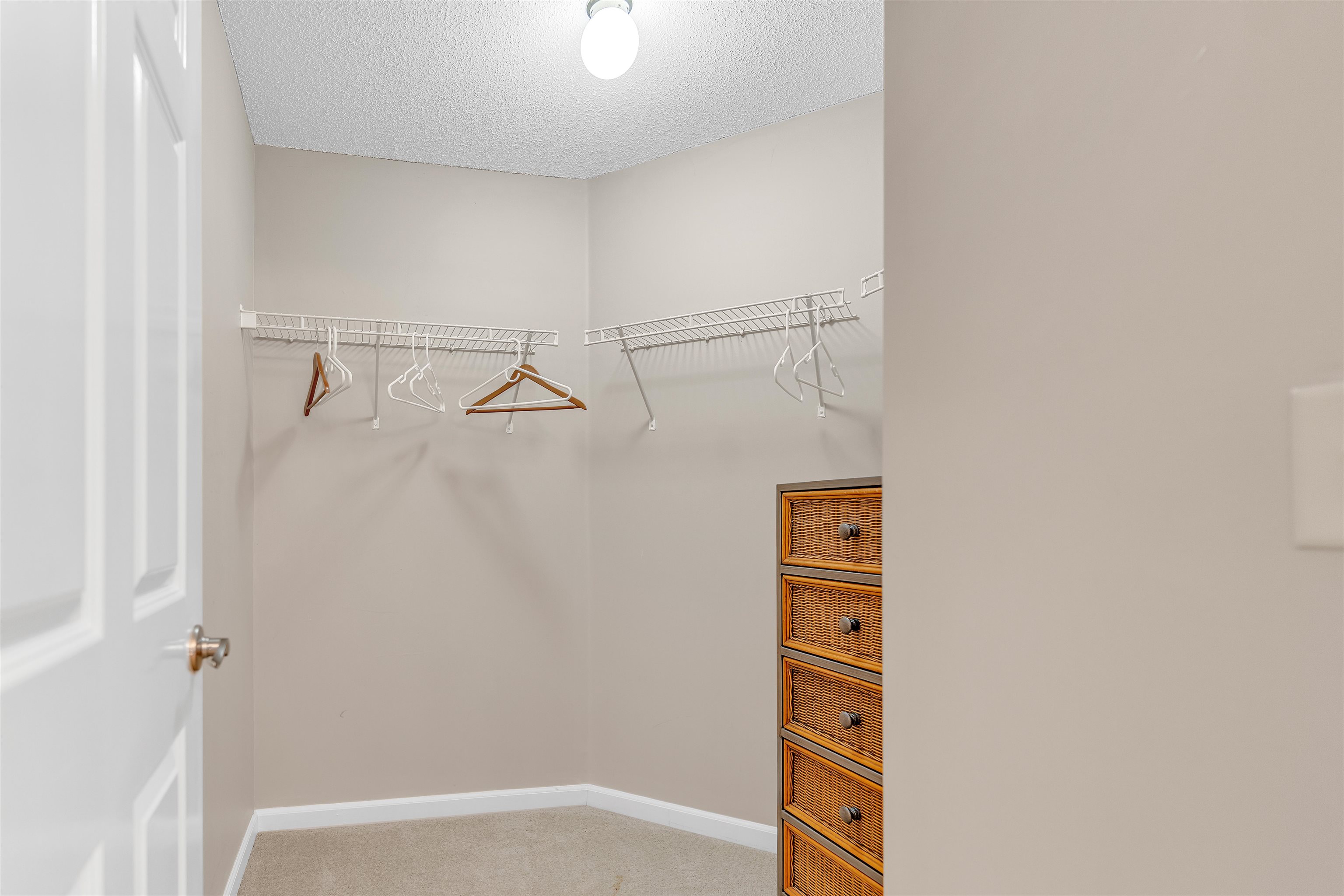 1213 Oak Timber Circle, Unit 25 Collierville, TN 38017 - Photo 21 of 25 Spacious closet featuring carpet flooring