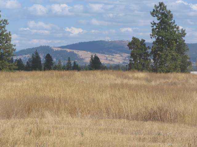 5521 South D S Assembly Road Spokane, WA 99224 - Photo 3 of 4