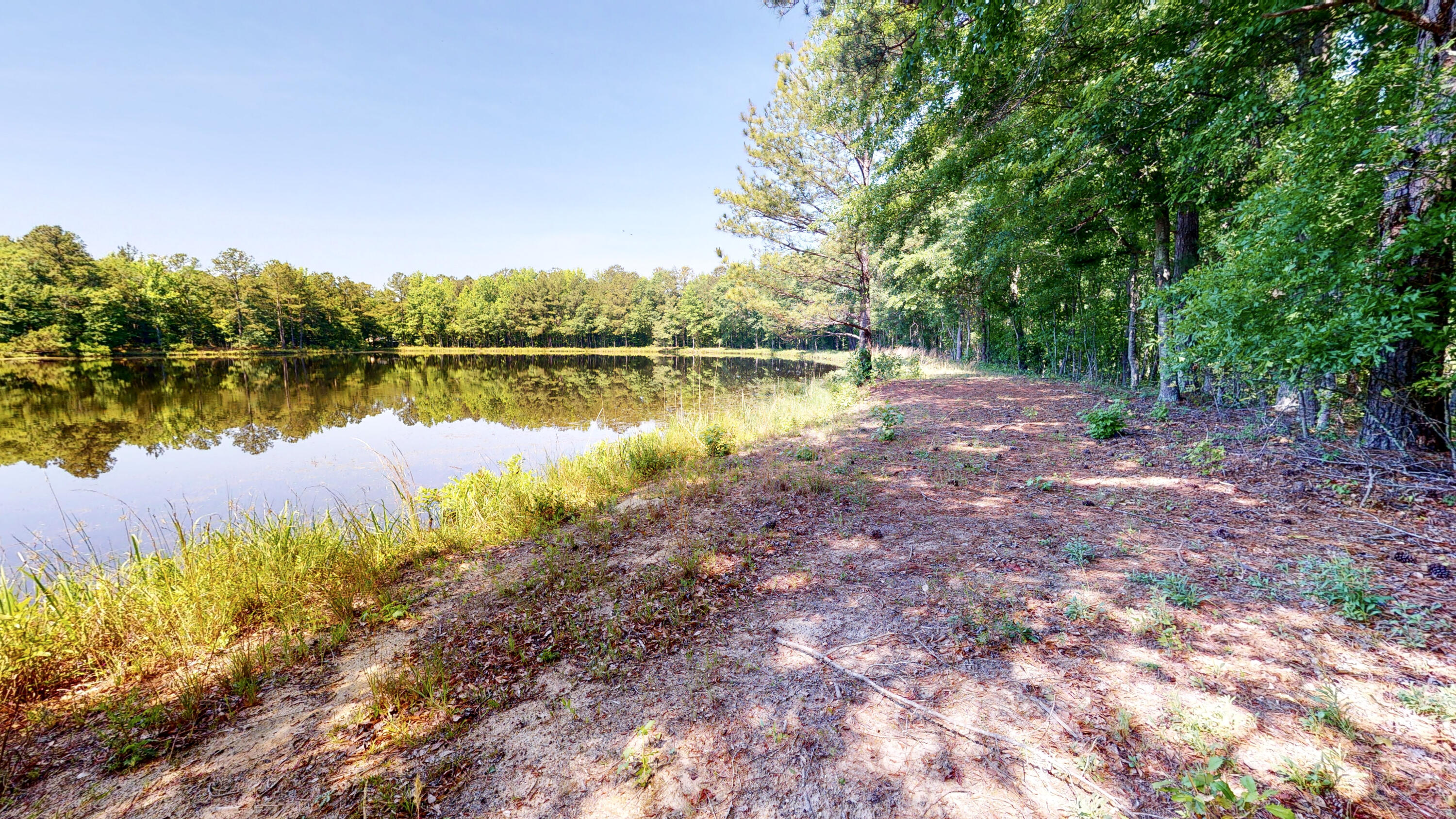 260 Holmes Pond Road Johnston, SC 29832 - Photo 7 of 16