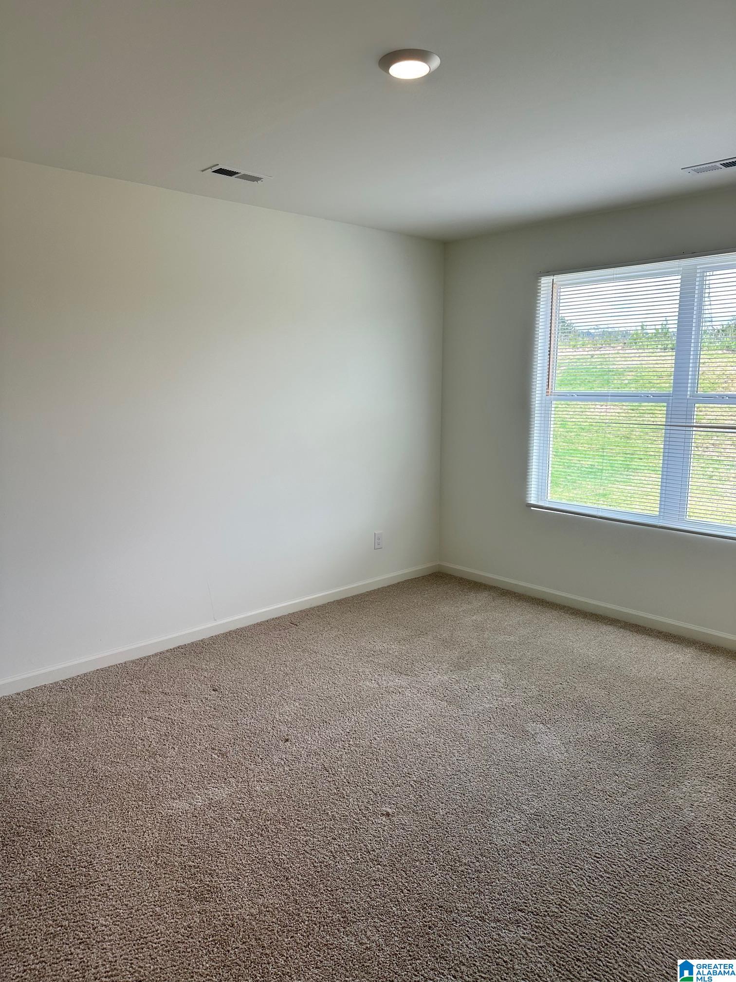 6863 Southern Trace Loop Leeds, AL 35094 - Photo 5 of 17