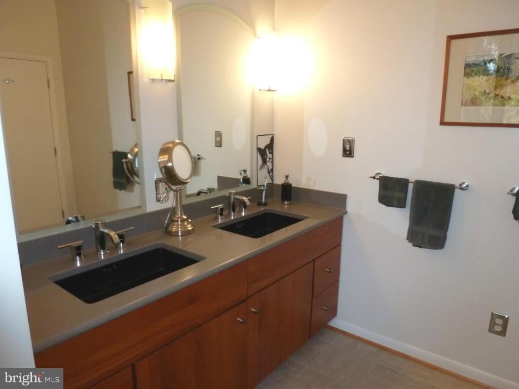 20326 Townsend Road Rohrersville, MD 21779 - Photo 22 of 30 Bath (Master)