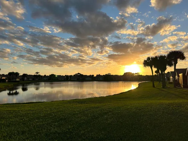a view of a lake from a yard