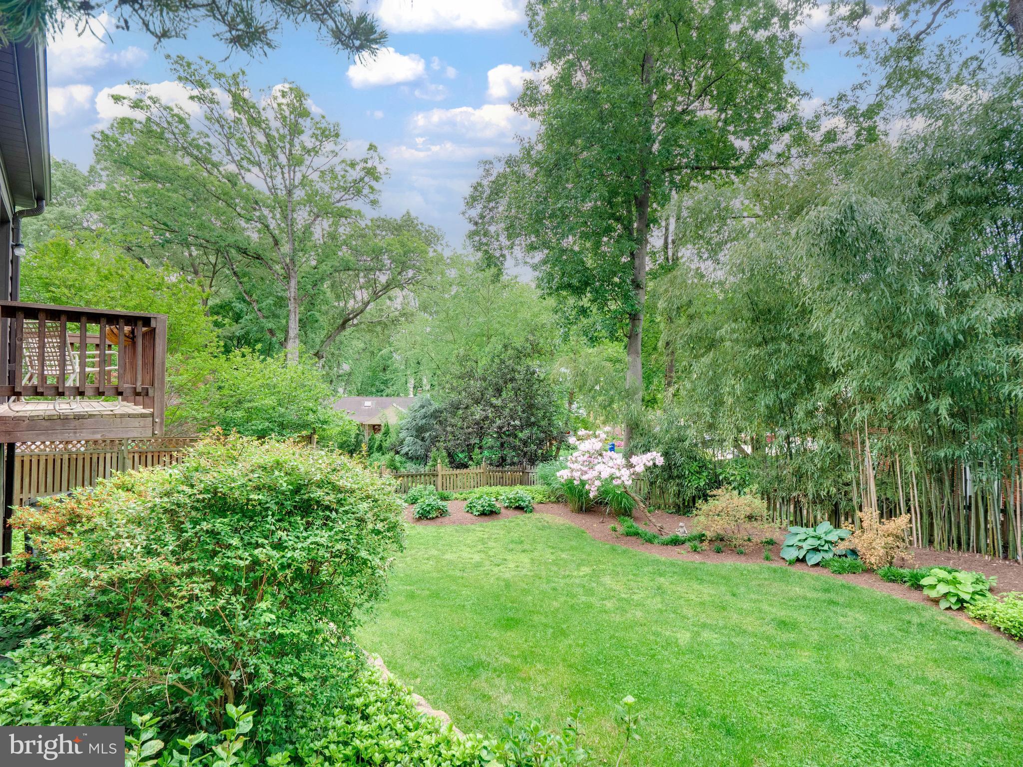 3820 Chesterbrook Road Arlington, VA 22207 - Photo 37 of 43 Rear yard