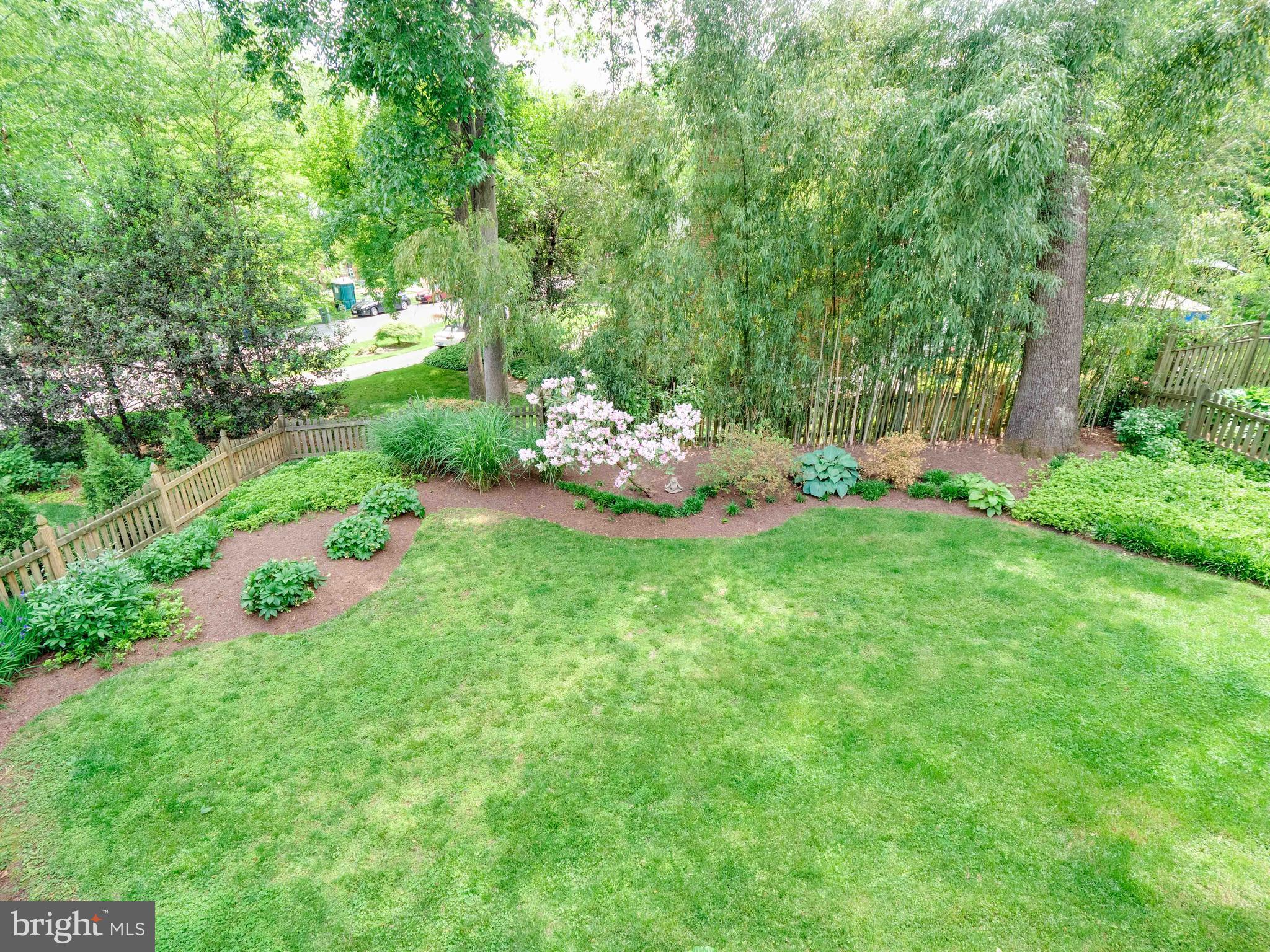 3820 Chesterbrook Road Arlington, VA 22207 - Photo 38 of 43 Rear yard