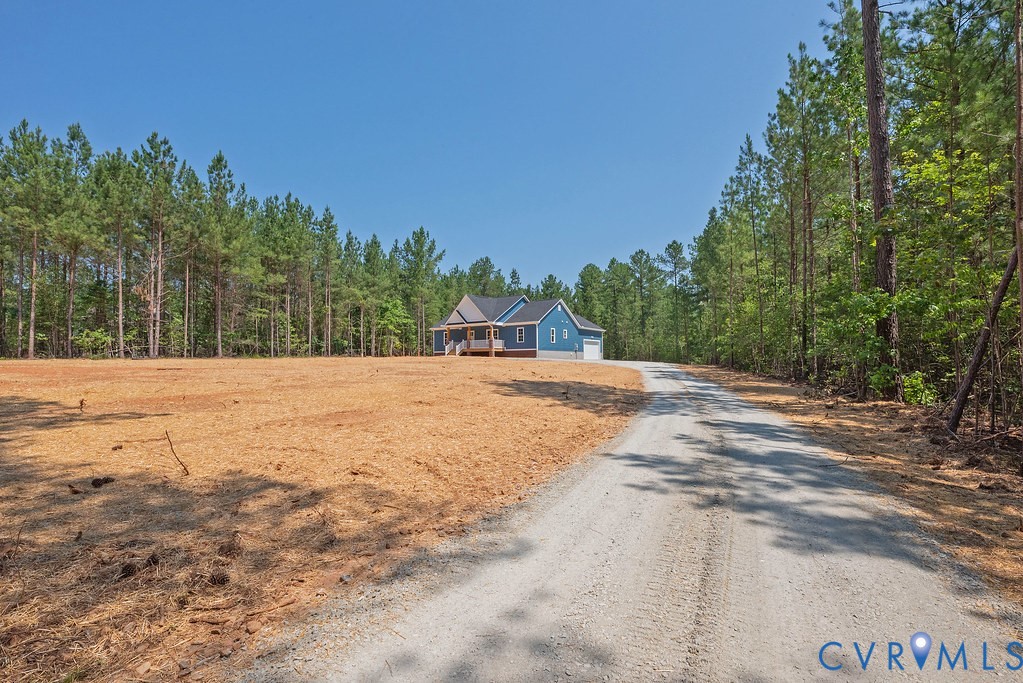 5200 Three Chopt Road Louisa, VA 23093 - Photo 45 of 47 a view of road with trees