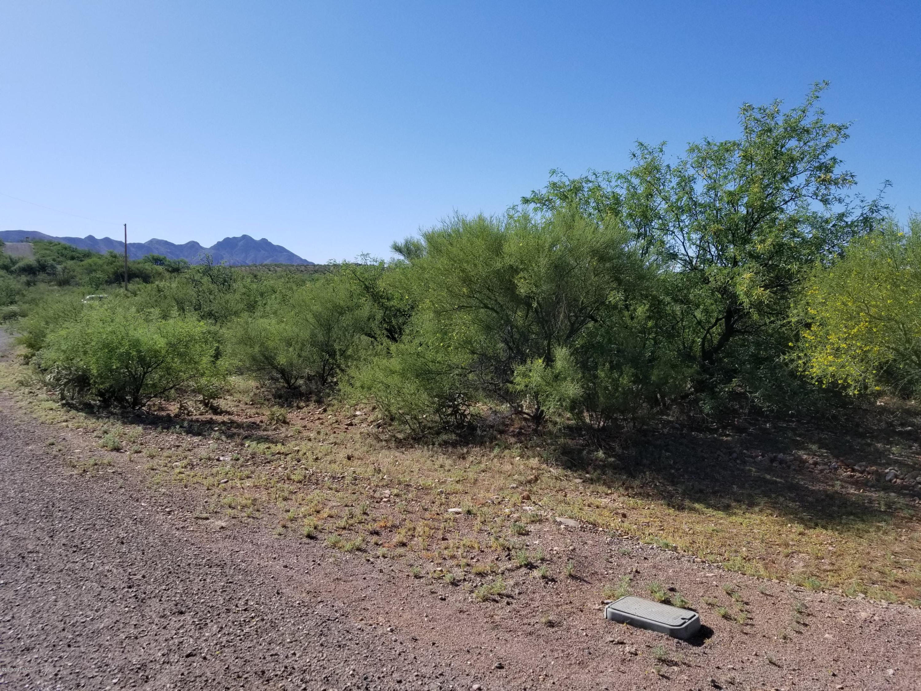 1859 Circulo Bulgaro, Unit 14 Rio Rico, AZ 85648 - Photo 3 of 7