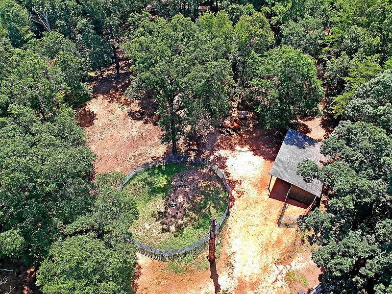 1538 Old Denver School Road Anderson, SC 29625 - Photo 5 of 6