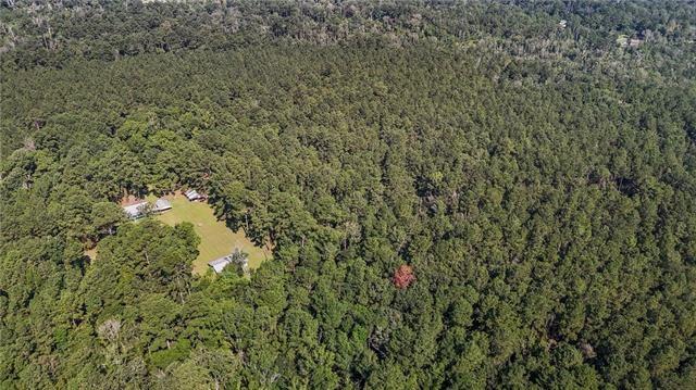 27499 Turkey Creek Road Independence, LA 70443 - Photo 22 of 28