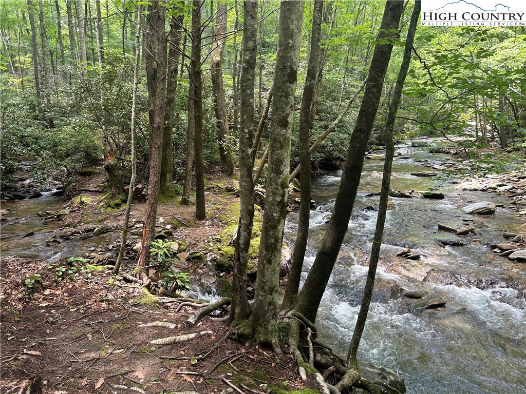 289 Ninebark Road Boone, NC 28607 - Photo 5 of 40