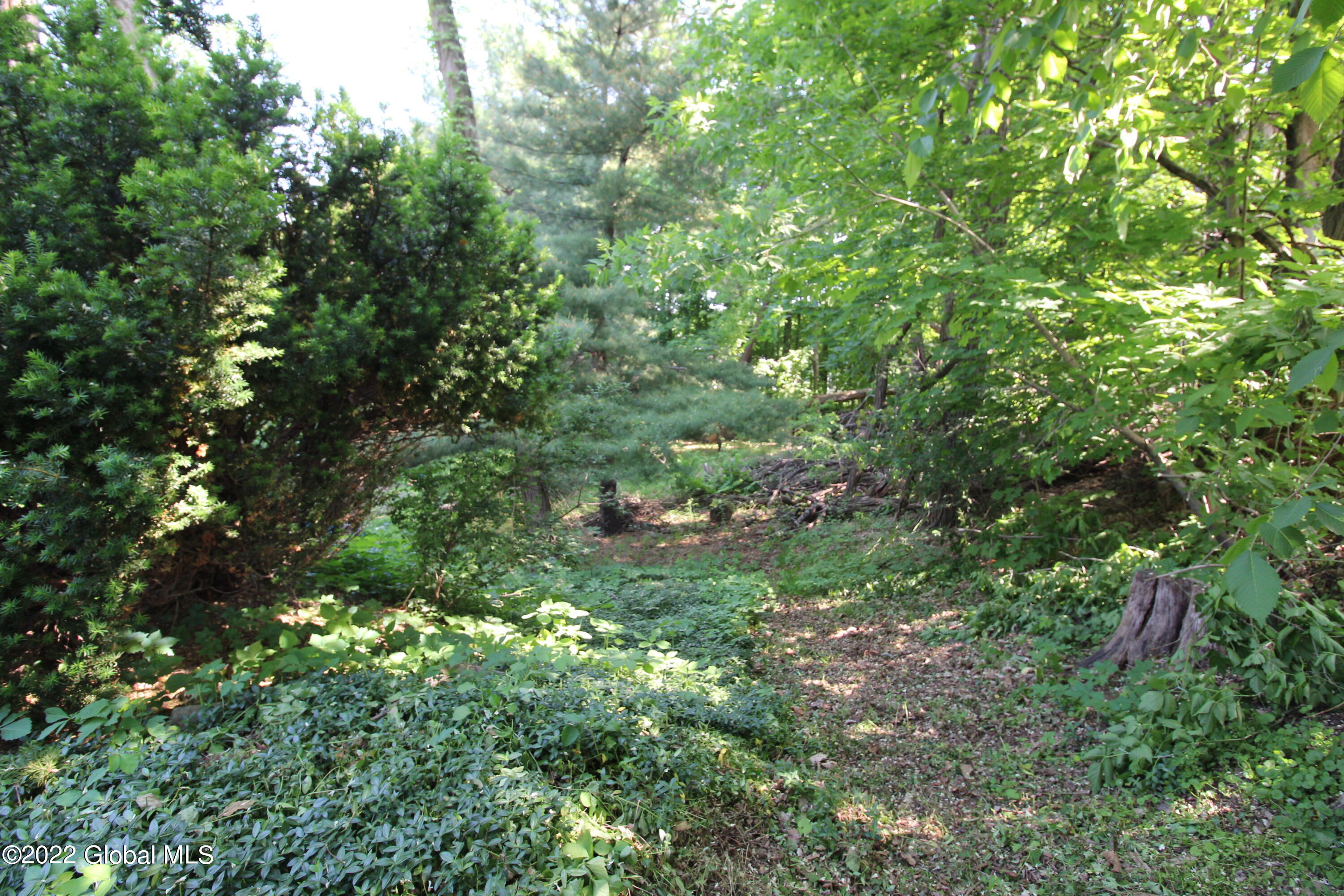 127 Guideboard Road Halfmoon, NY 12188 - Photo 13 of 45 IMG_6936