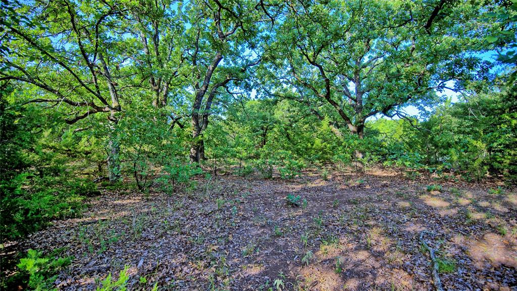 218 Illinois Bend Road St. Jo, TX 76265 - Photo 13 of 16 Gallery Image 13