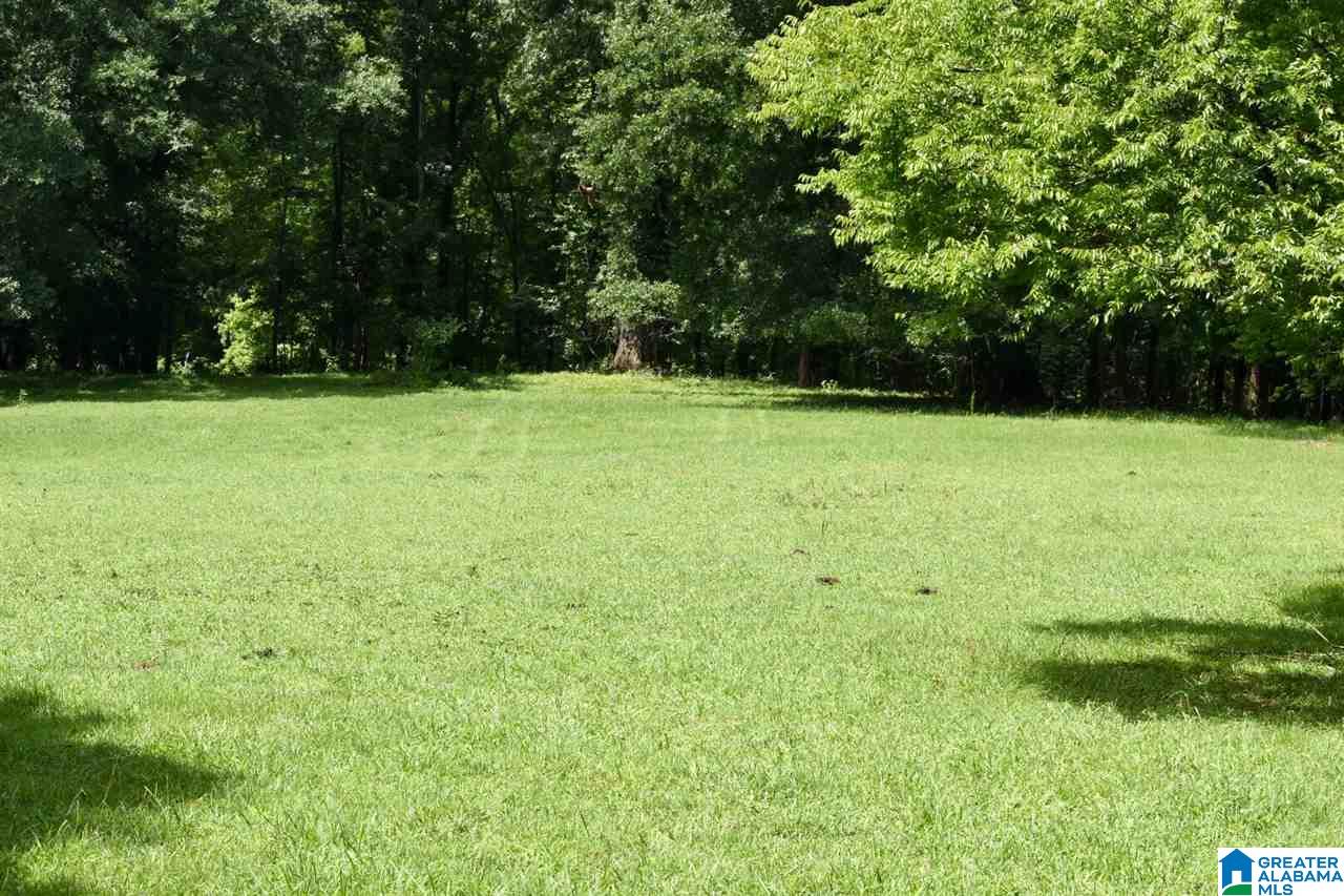 3330 Highway 174 Springville, AL 35146 - Photo 7 of 21