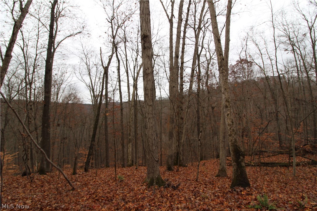 Wilson Run Road New Matamoras, OH 45767 - Photo 18 of 34 Gallery Image 18