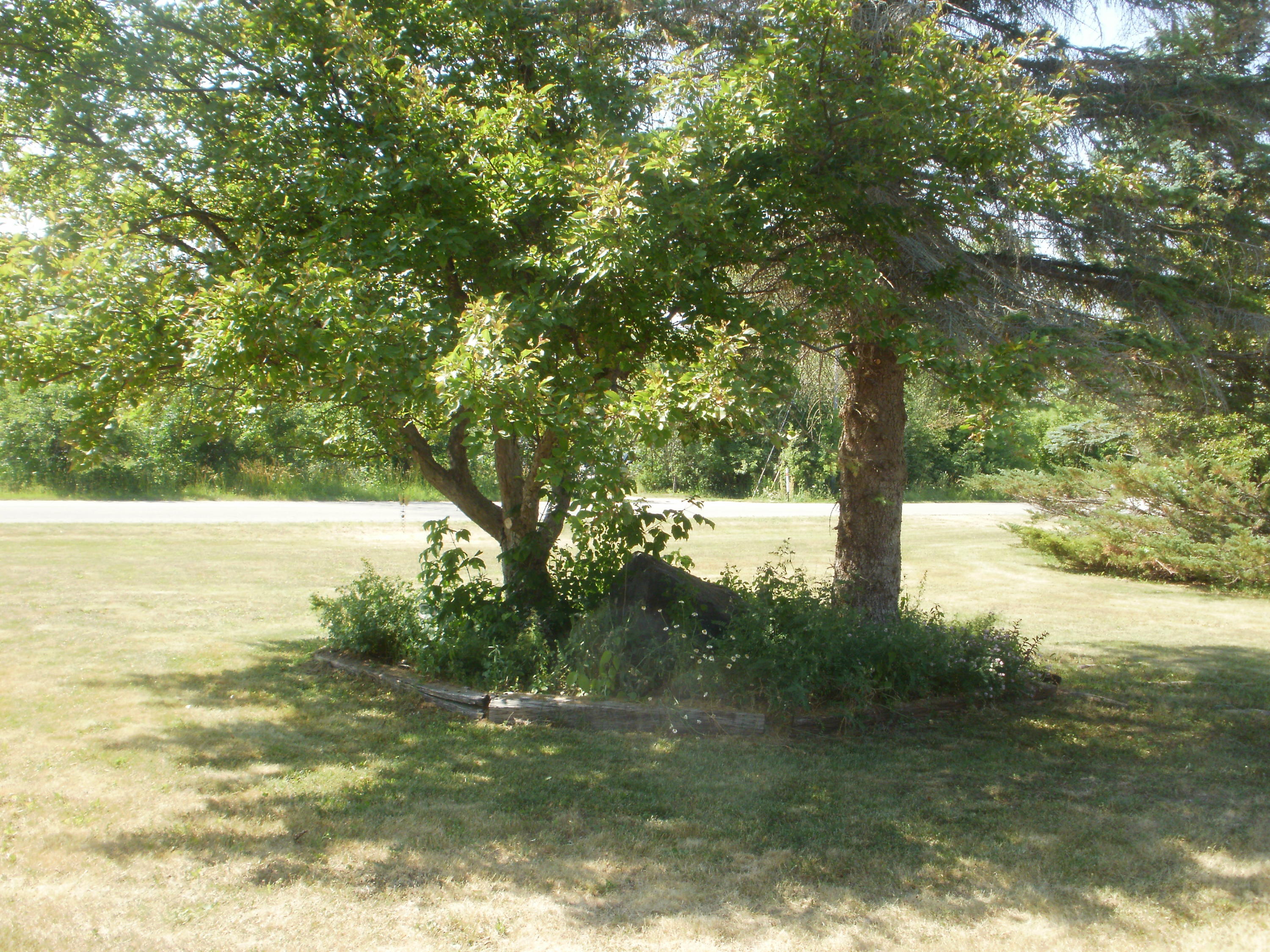 405 Palmyra Street Cheboygan, MI 49721 - Photo 5 of 73 Gallery Image 5